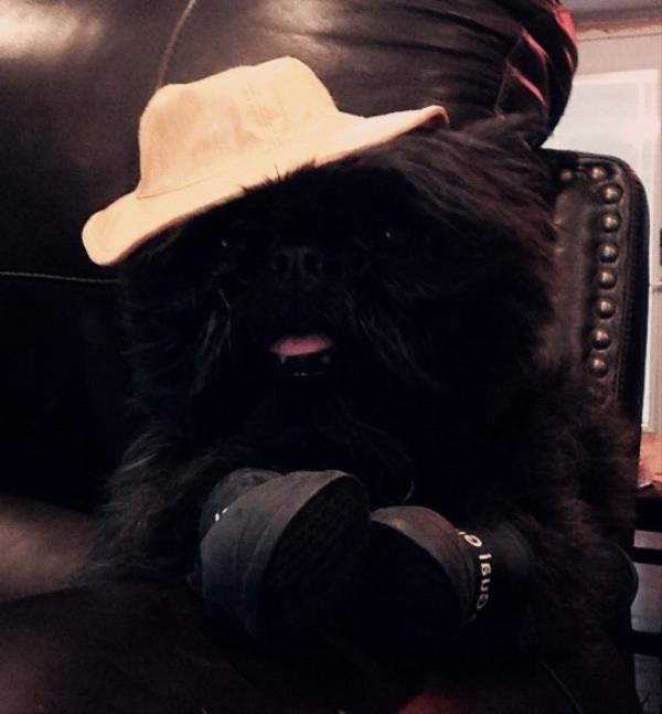 /Images/uploads/Humane Society of Utah/HSUCalendar/entries/1094thumb.jpg